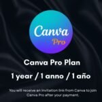 Pro Plan 1 year